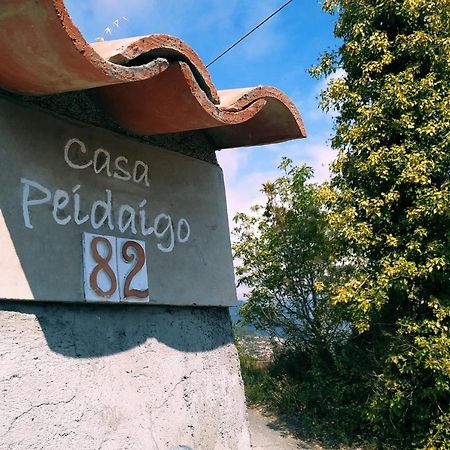 Casa Peidaigo Immersa Nel Verde,Vista Mare E Monti Ventimiglia Exterior photo